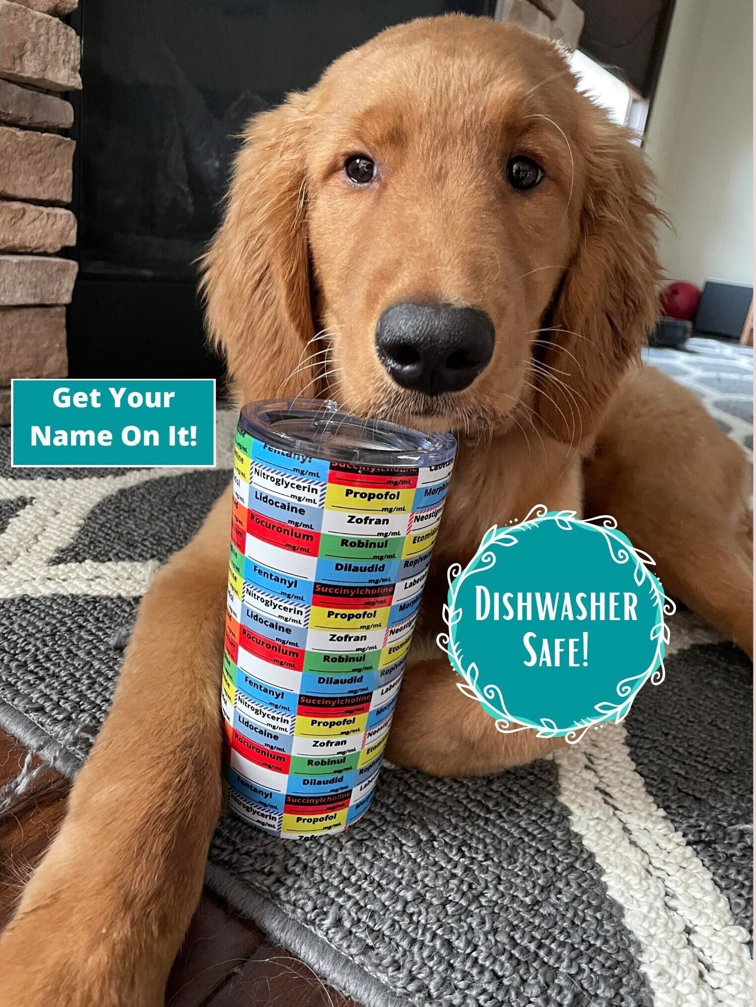 Is Zofran Bad For Dogs