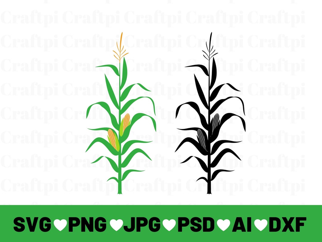 Corn Stalk Svg, Corn Stalk Cut Files for Cricut, Corn Stalk Clip Art