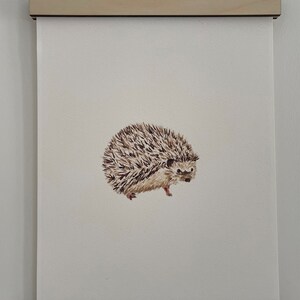 Hedgehog Watercolour Art Print