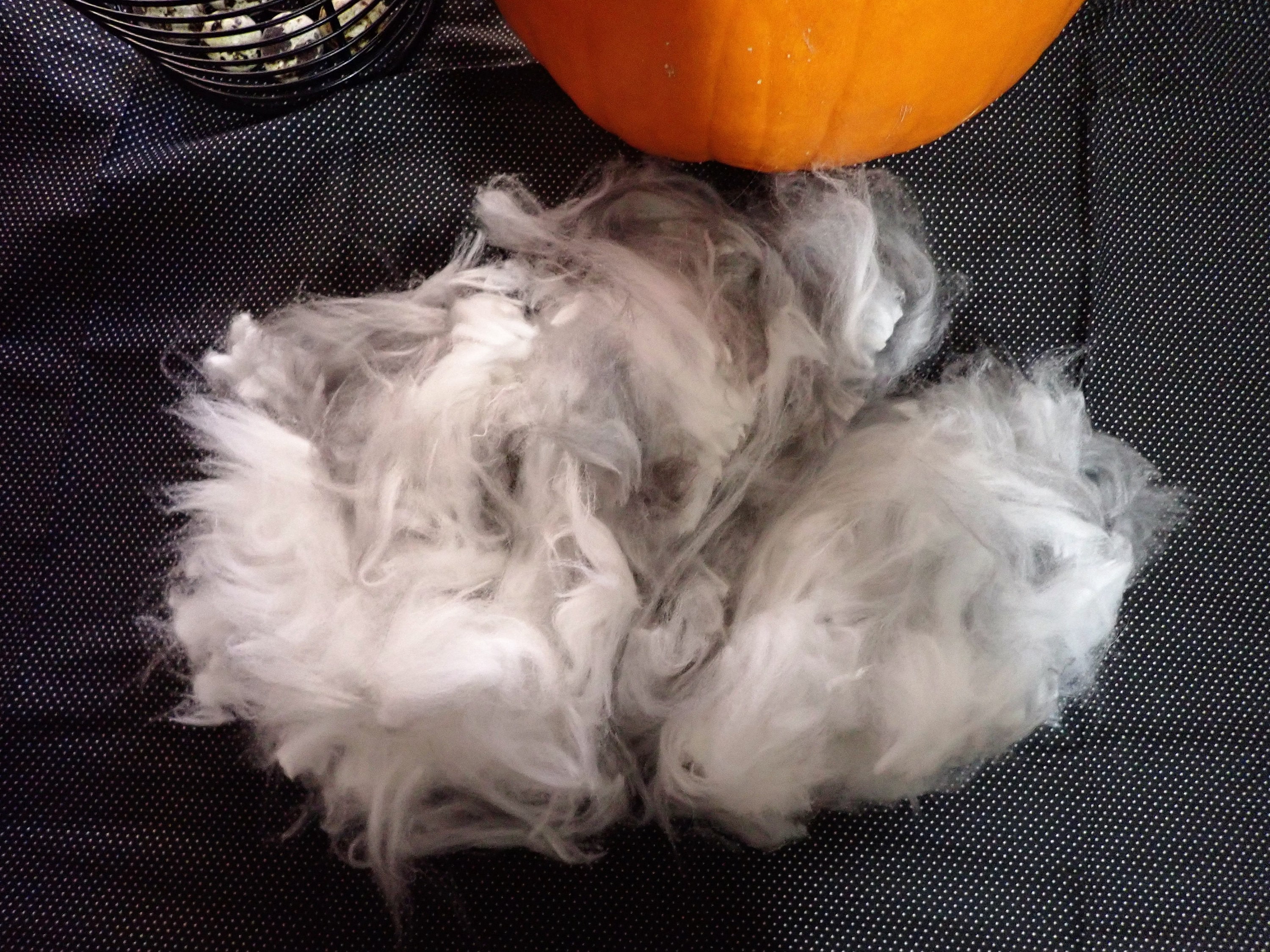 Black and White English Angora Rabbit Wool, Fur for Wet Felting, Hand ...