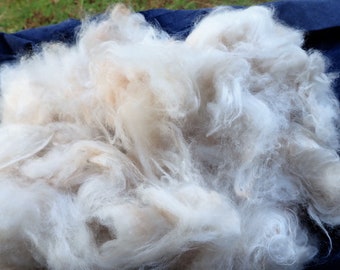 Angora Rabbit wool, English angora fur, Fiber for hand spinning, felting, or other fiber arts