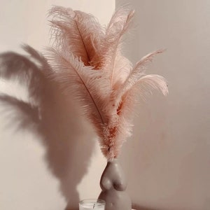 Faux Ostrich Feather Stems Pink Fake Ostrich Feathers Faux -  Finland
