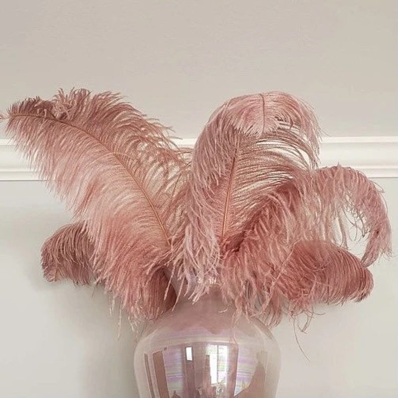 Fluffy 𝓑𝓵𝓾𝓼𝓱 Ostrich Feather Bouquet Etsy UK