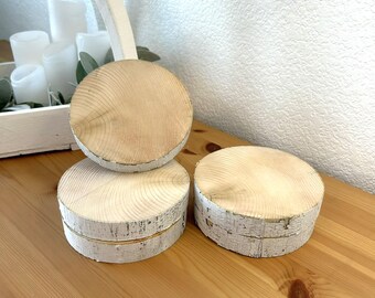 5 White Birch Slices, 5.5"x 1", Wood Burning, Multimedia Painting Surface, Large Coasters, Wood Rounds, Birch Discs