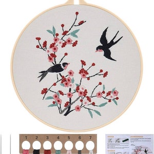 Complete Embroidery Kit Swallows Pattern DIY Circle Embroidery Thread, Pattern and Instructions for Beginners, Gift Idea. Free Delivery