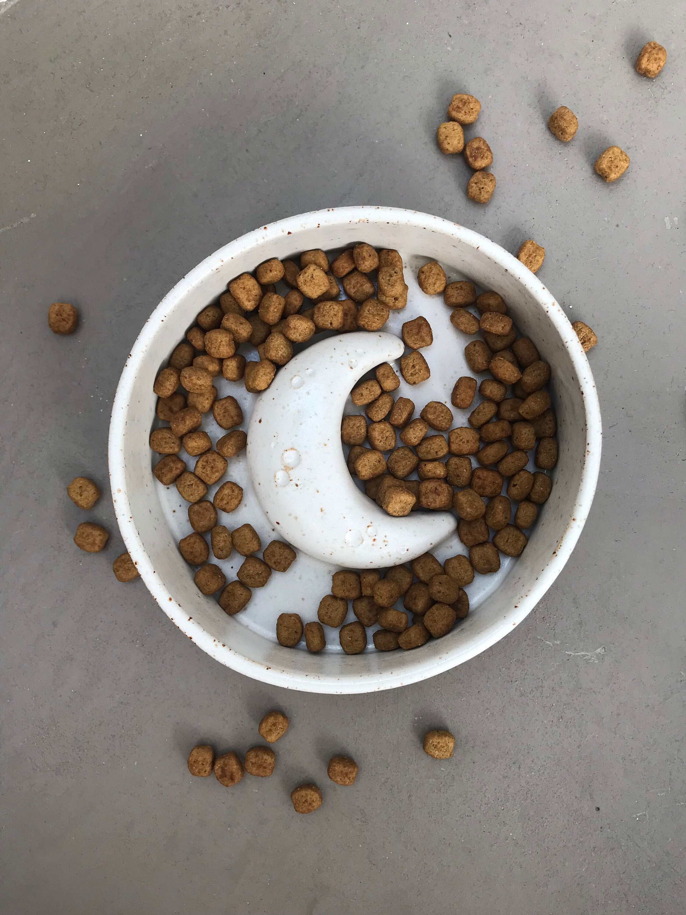 Gamelle Anti Glouton Chat Chien Fait Main Lune