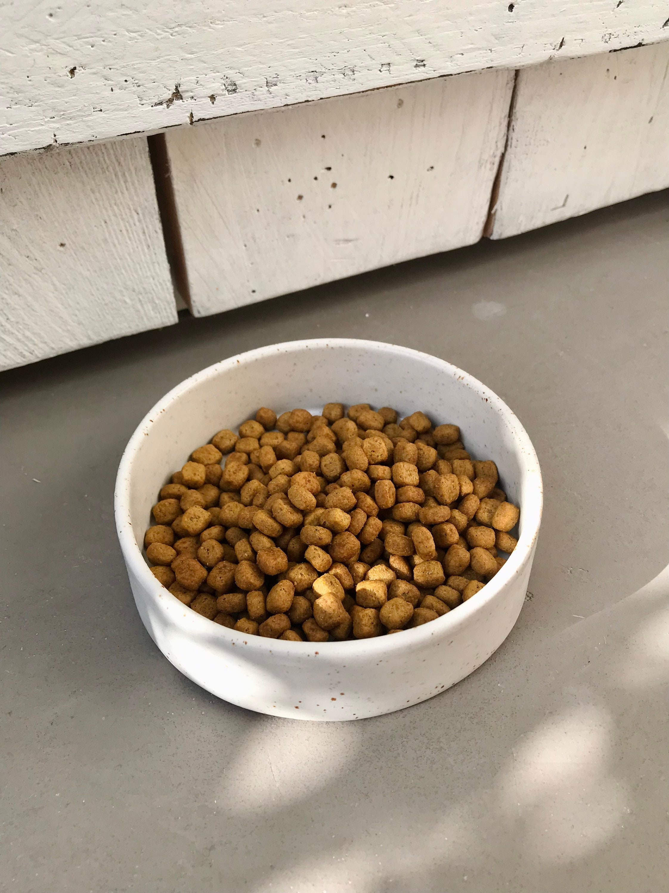 Gamelle Personnalisée Chat Chien