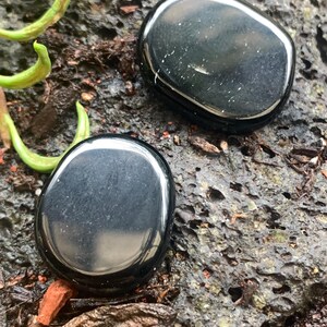 May include: Two polished, oval-shaped black stones with a glossy finish. The stones are resting on a dark, textured surface with green plant life. The stones reflect light, creating highlights.