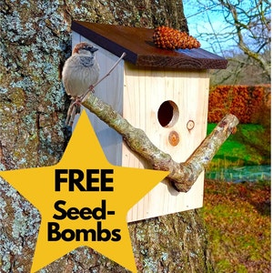 Bird House / Nesting Box + 'Look-Out' Perch & FREE Wildflower Seed-Bombs