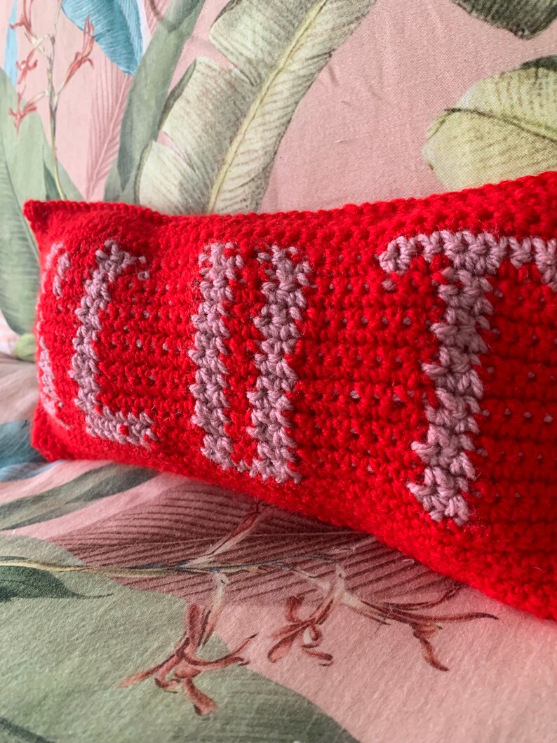 Little Slut Pillow CROCHET PATTERN Rude Crochet Pattern Etsy