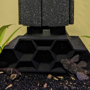 KnickKnack Pleco Hide