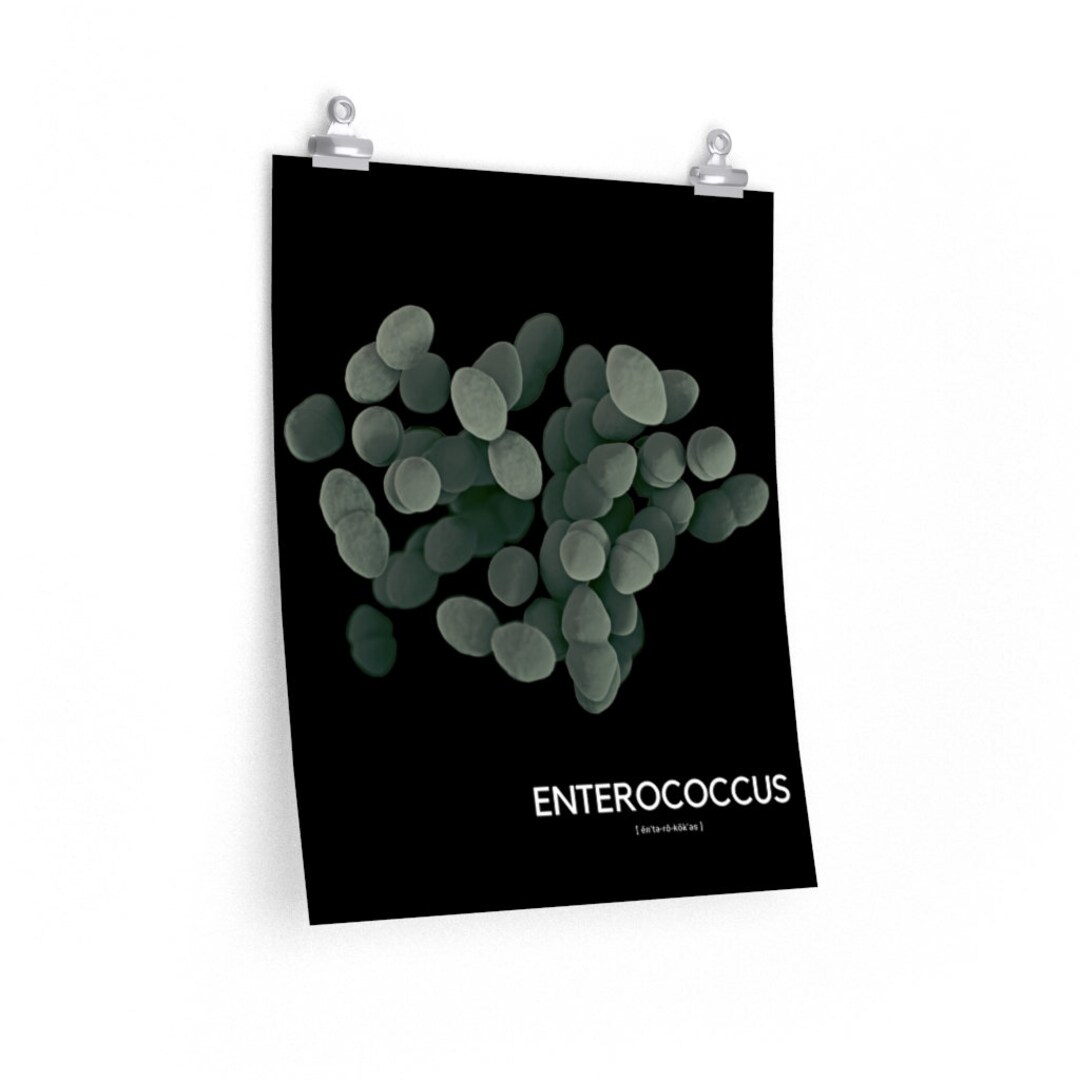 Enterococcus Poster WORLDWIDE Science Microbiology Funny - Etsy Enterococcus Poster WORLDWIDE Science Microbiology Funny - Etsy