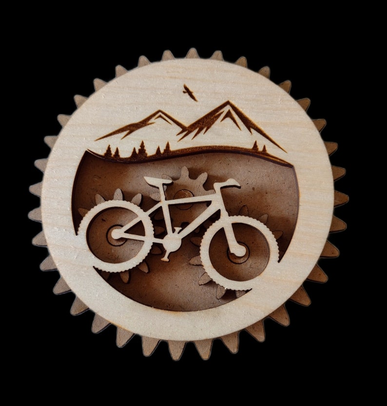 bicycle coaster
