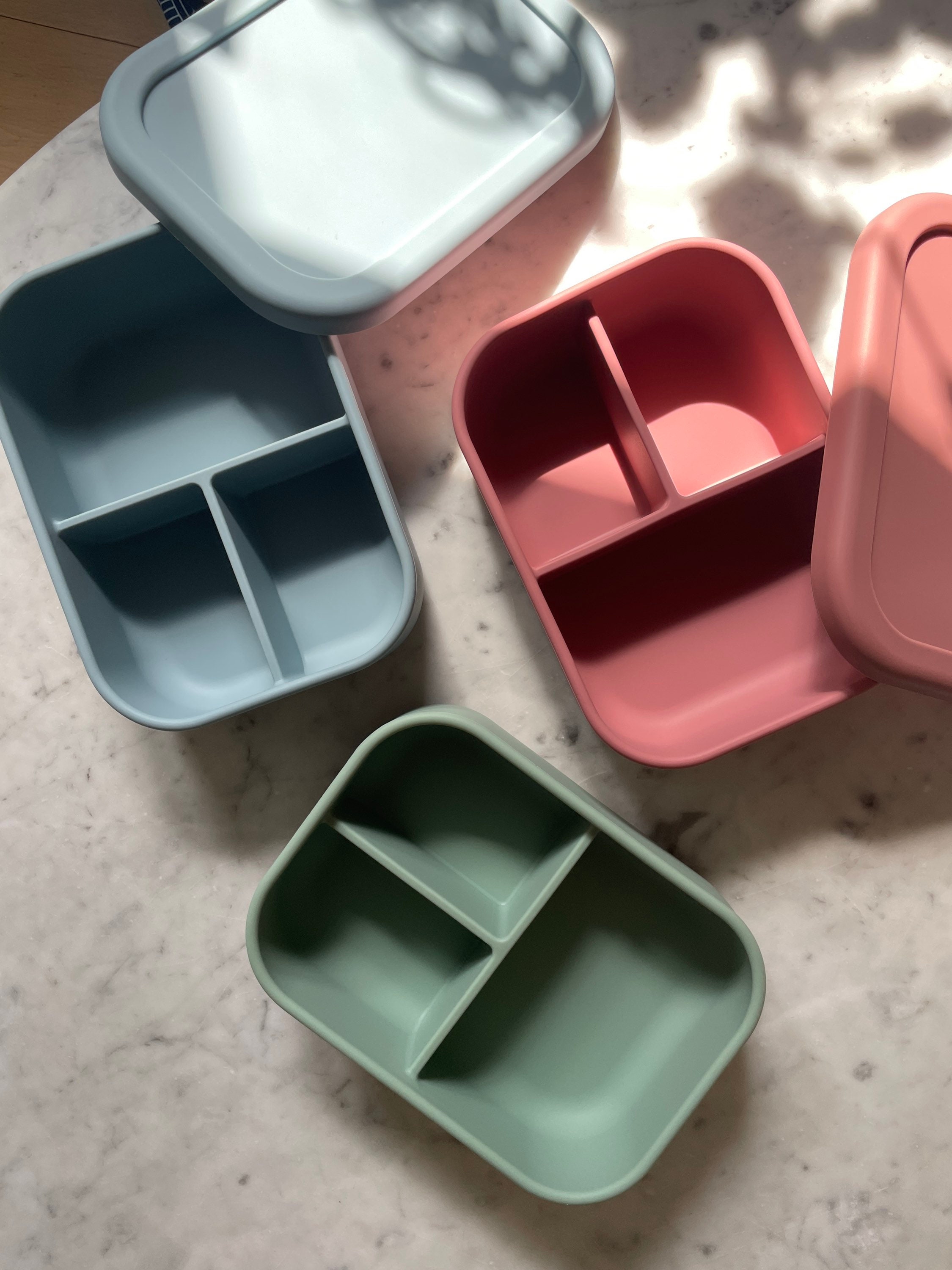 2 Compartments Silicone Bento Box - WLS Accessories