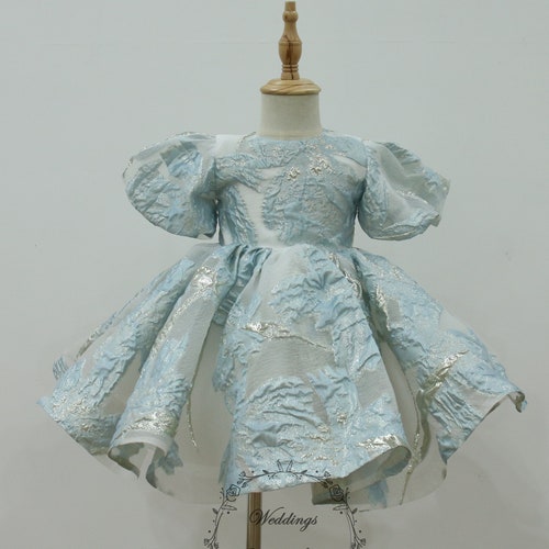 Blue Flower Girl Dress, Floral Baby Girl shops Dress, Sparkly Tutu Party Dress, Organza Toddler Birthday Gown, Girl Princess Dress, Baby Girl Gift