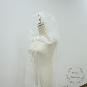 Stern Mond Schleier, Vintage Schleier, Brautschleier, Brautschleier, Vintage Brautschleier, Vintage Hochzeitsschleier, Hochzeitsschleier, Sternmond