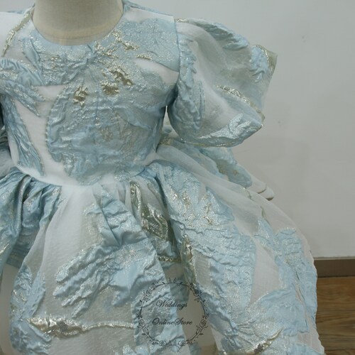 Blue Flower Girl Dress, Floral Baby Girl shops Dress, Sparkly Tutu Party Dress, Organza Toddler Birthday Gown, Girl Princess Dress, Baby Girl Gift