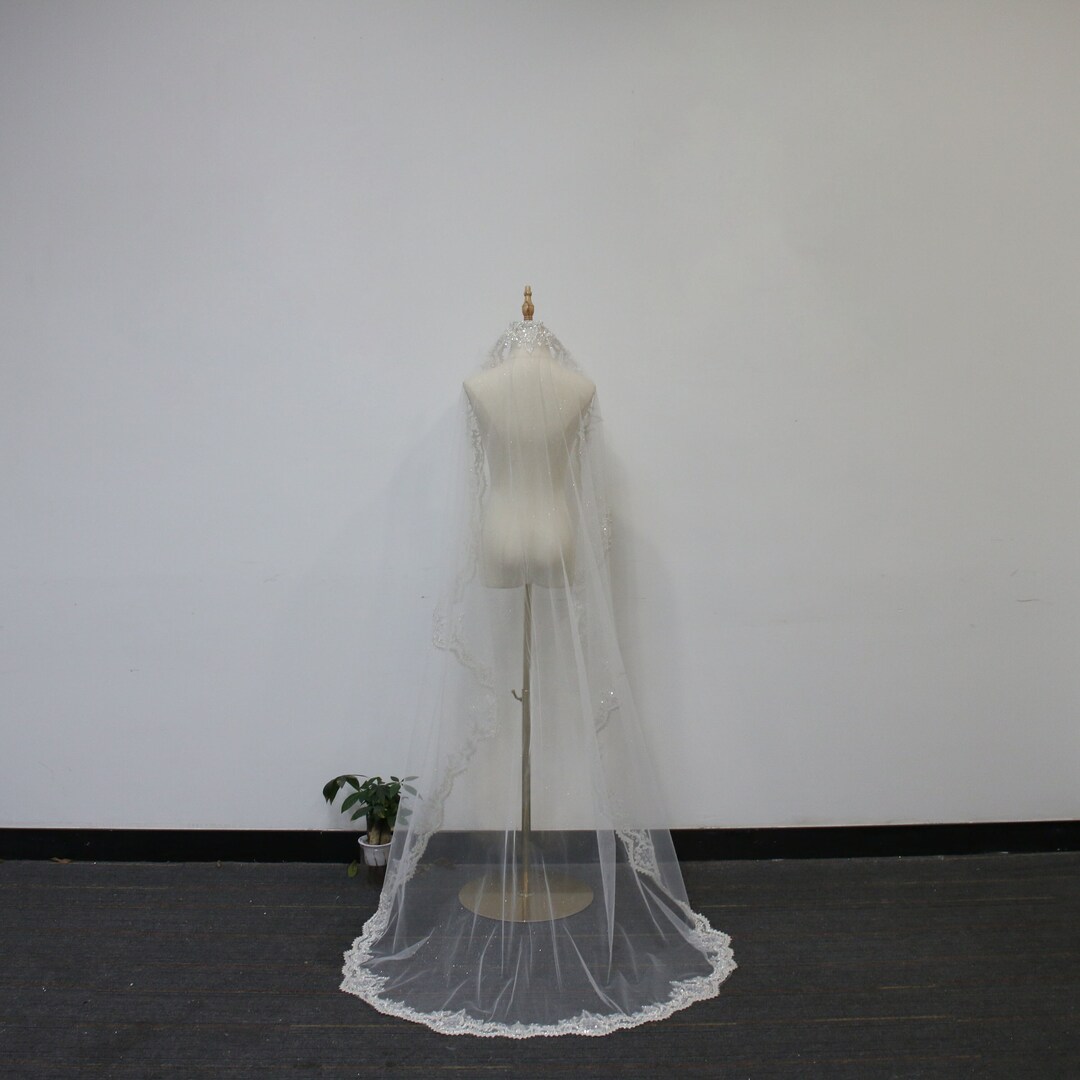 Chic Tulle Wedding Veil With Sequins Lace
