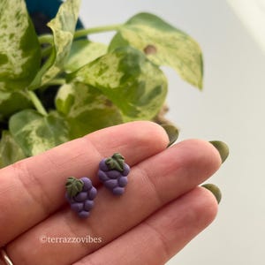 Puede incluir: Un par de pendientes con forma de uva. Cada pendiente presenta un racimo de uvas moradas con una hoja verde en la parte superior. Los pendientes son pequeños y delicados. El fondo incluye follaje verde.