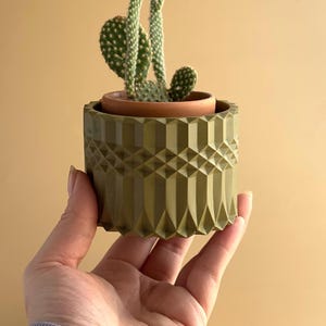 Moss Green Cactus Planter: Handmade Gypsum Boho Decor
