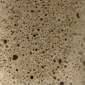 May include: Close-up of a light brown, bubbly mixture, likely a sourdough starter. The texture is dense with numerous small and large air pockets, creating a foamy appearance. The color varies from light tan to darker brown.