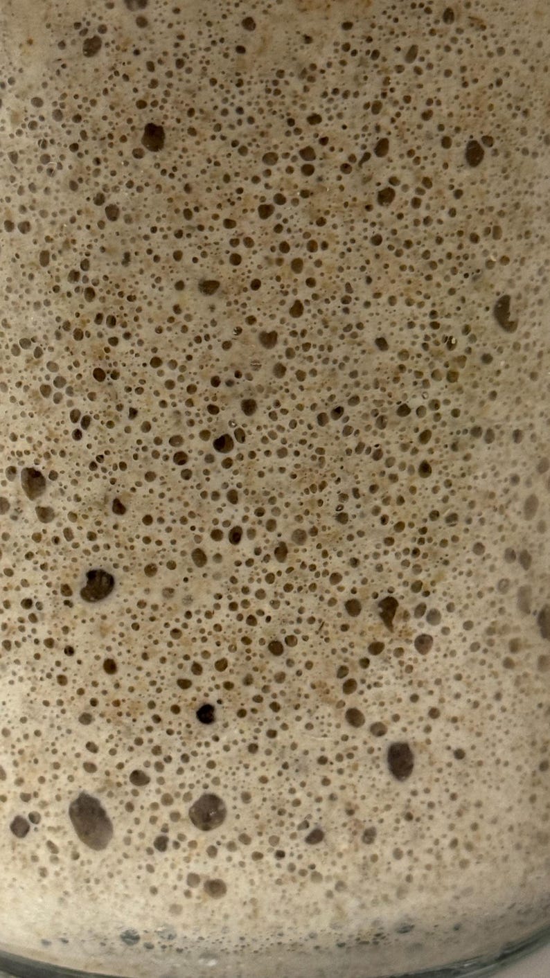 May include: Close-up of a light brown, bubbly mixture, likely a sourdough starter. The texture is dense with numerous small and large air pockets, creating a foamy appearance. The color varies from light tan to darker brown.