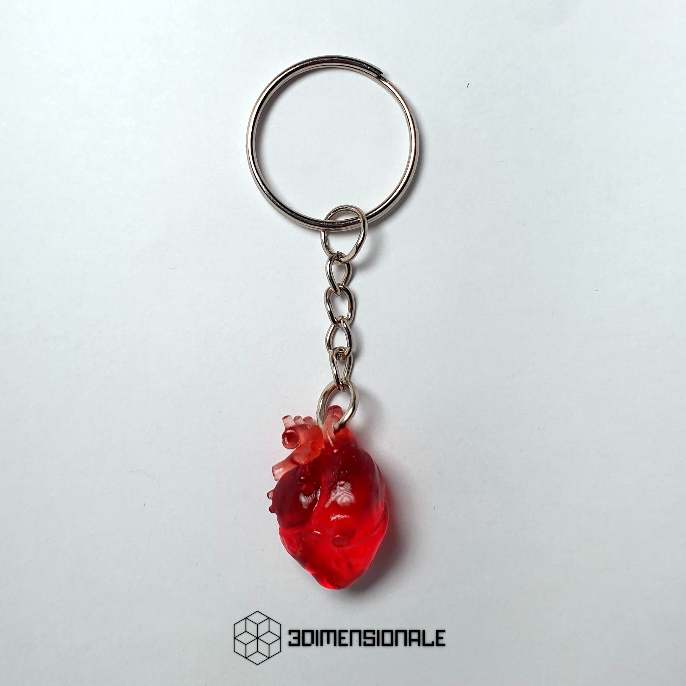 Anatomical Heart 3D Anatomical Heart Keychain Gift Idea for Etsy