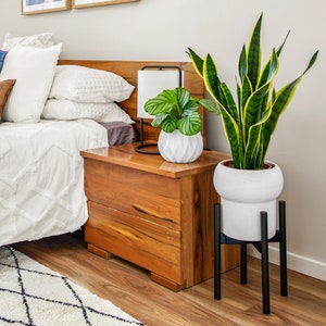 May include: A bedroom interior with a wooden bedside table, a lamp, and two potted plants. A snake plant in a white pot on a black stand and a smaller plant in a geometric white pot. Two framed pictures are on the wall.