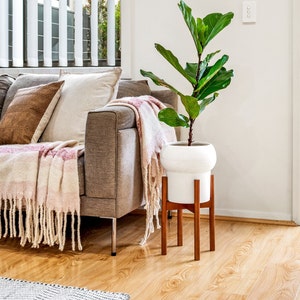 May include: A living room setting with a grey sofa, cushions, and a fringed throw. A white plant pot with a fiddle-leaf fig tree is on a wooden stand. The room has wooden flooring and a window with vertical blinds.