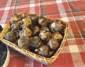 Black Garlic Bulbs