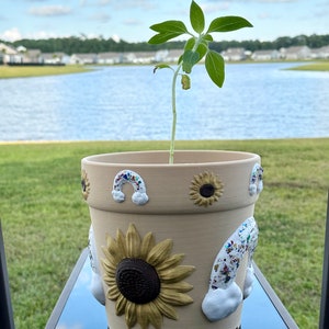 May include: A beige ceramic planter with a sunflower, rainbow, and cloud design. A small green plant is growing in the planter.