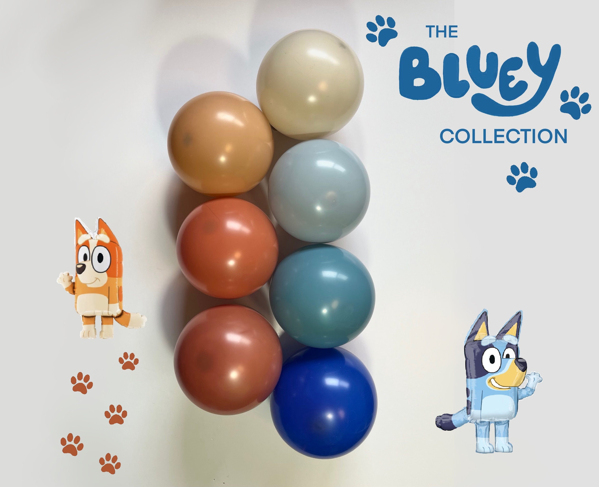 Custom Bluey & Bingo Balloon Selection