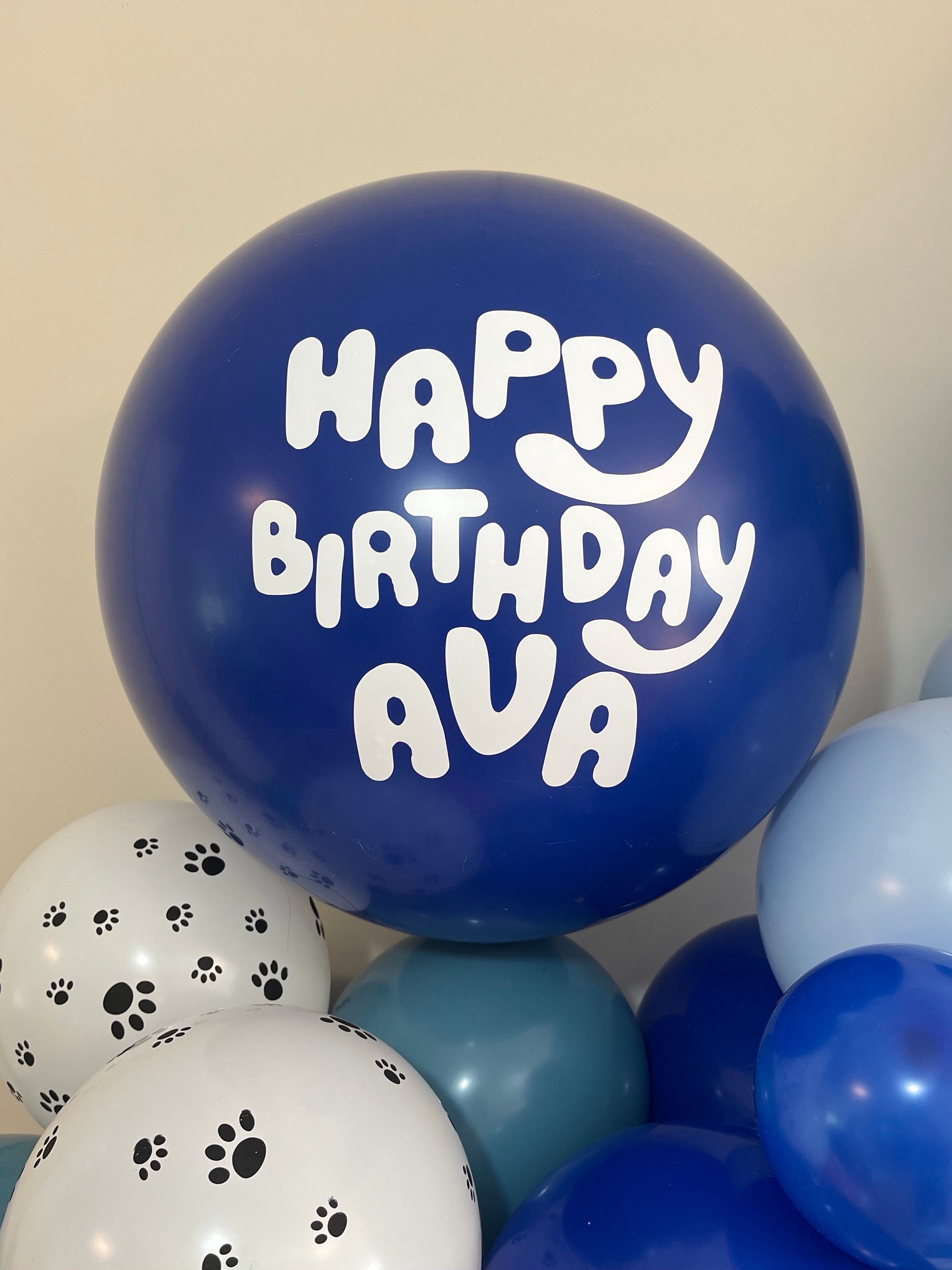 Personalized Bluey Balloon Garland