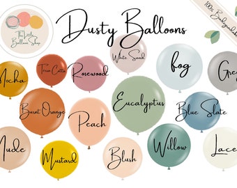 Dusty Natural Latex Balloons, Design Your Own Boho Balloon Arch, Chalky Matte Balloons, Muted Balloons, Dusty Blue Baby Shower, Boho Bridal