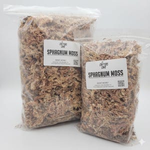 Musgo Sphagnum de fibra larga de Nueva Zelanda / 1Q y 1G / Bajo nivel de polvo / Recintos húmedos / Arañas saltarinas / Isópodos y colémbolos / La cueva de las criaturas