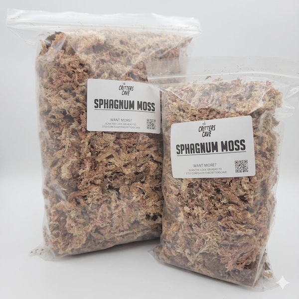 Springtail Enclosures - Etsy