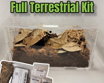 Top Opening Terrestrial Kit | 4"x4"x7" | Enclosure Kit For Tarantula | Snail | Spiders | Millipede | Centipede | Isopods | The Critters Cave