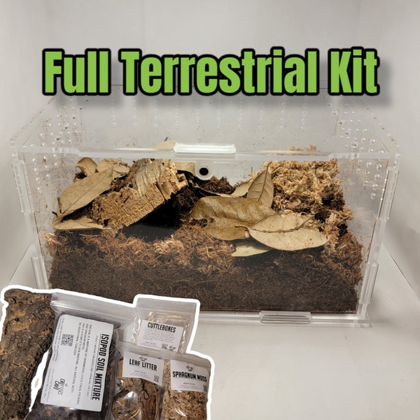 Top Opening Terrestrial Kit | 4"x4"x7" | Enclosure Kit For Tarantula | Snail | Spiders | Millipede | Centipede | Isopods | The Critters Cave