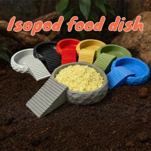 Rocky Isopod and Springtail Feeding Dish | Multiple Colors | TheCrittersCave