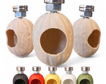 Esconderijo de plástico em formato de noz | Para aranhas-saltadoras | A Caverna dos Bichos