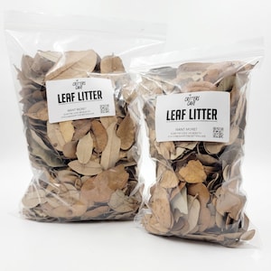 Leaf Litter For Springtail & Isopods | Frogs | Vivariums | Pet Bedding |  The Critters Cave