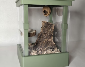Recinto in acrilico semi-modulare con apertura frontale 5x7 per ragni saltatori, mantidi e altro. TheCrittersCave