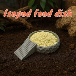 Rocky Isopod and Springtail Feeding Dish | TheCrittersCave