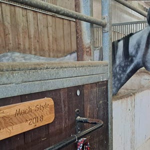 Personalized 3D engraved nameplate for horse box