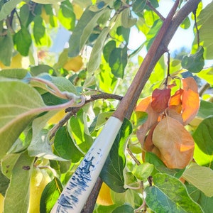 Elm Wand with Porcelain Handle 11 1/2 inches