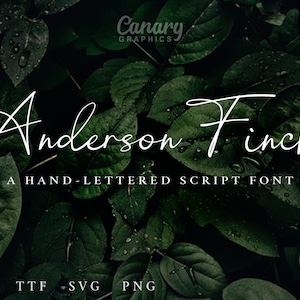 Script Font, Handwriting Fonts, Font svg, Fonts for Cricut, Fonts for Procreate, Font Embroidery, Elegant Font, Calligraphy Font