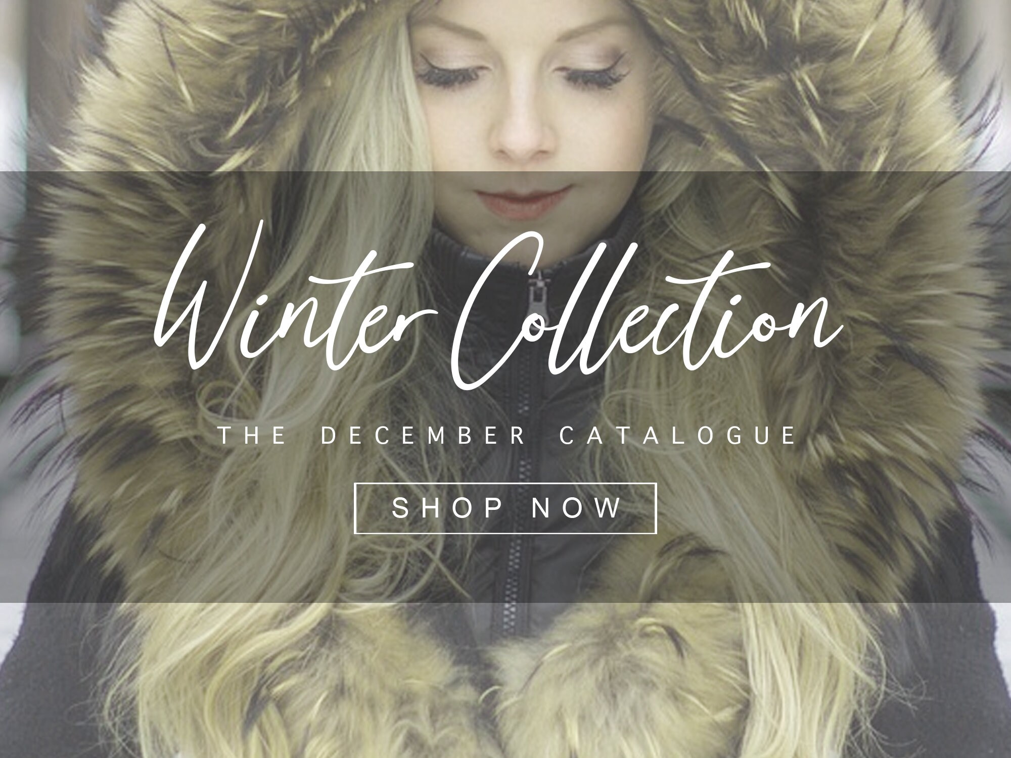 20-font-bundle-digital-download-script-fonts-signature-font