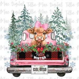 Rose d'hiver vache Highland PNG en téléchargement numérique génisse Vache hirsute à poil long Coquette noeud ferme rustique country western tshirt Sublimation