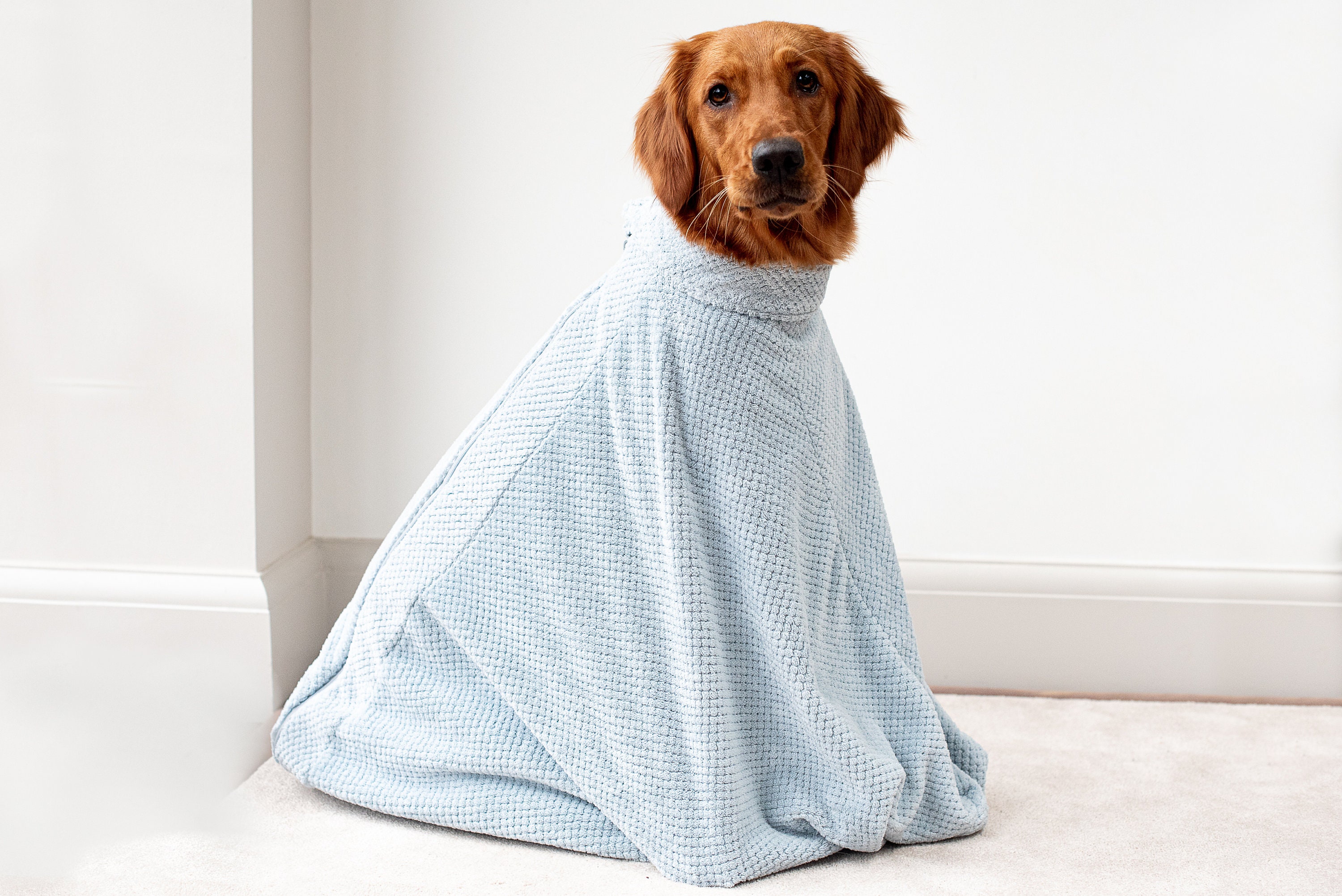 Peignoir pour chien Serviette Douce Super Absorbante Robe de Bain Séchage  Humidité Pyjama Pour Chien Nouveau