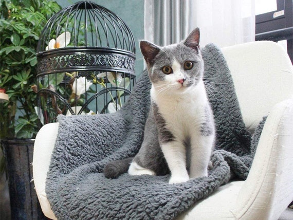 Fluffy Fleece Pet Blanket - Soft & Warm Throw for Dogs and Cats